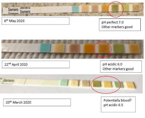 Urine testing over time